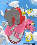  amy_rose seikoseeley sonic_team tagme 