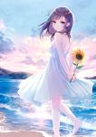  1girl bangs bare_arms bare_shoulders barefoot blue_eyes blue_sky blush breasts brown_hair closed_mouth cloud cloudy_sky commentary_request dress eyebrows_visible_through_hair floating_hair flower highres holding holding_flower kashiwabara_en long_hair looking_at_viewer looking_to_the_side original outdoors see-through see-through_silhouette sky small_breasts smile soles solo standing standing_on_one_leg sundress sunflower sunrise water waves white_dress 