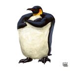  2019 avian beak bird black_eyes black_fur crossed_arms feral full-length_portrait fur penguin portrait simple_background taku white_background white_fur yellow_fur 