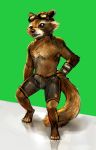  anthro bottomwear brown_fur bulge cheetahpaws clothed clothing eyewear full-length_portrait fur goggles greenscreen guardians_of_the_galaxy hi_res male mammal marvel penis_outline portrait procyonid raccoon rocket_raccoon shorts simple_background solo standing topless whiskers 
