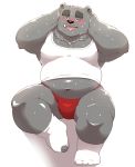  2019 absurd_res anthro belly black_nose blush bulge clothing cute_fangs drooling hi_res hugo_(jumperbear) humanoid_hands jumperbear male mammal navel overweight overweight_male saliva shirt simple_background sitting solo sweat tongue tongue_out topwear underwear ursid white_background 