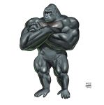 abs anthro ape biceps black_fur crossed_arms featureless_crotch fur gorilla male mammal muscular muscular_male pecs primate quads simple_background solo standing taku white_background 
