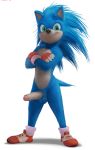  alpha_channel anhes anthro avoid_posting balls clothing crossed_arms erection eulipotyphlan footwear gloves hedgehog humanoid_penis male mammal nude penis shoes solo sonic_(series) sonic_the_hedgehog 