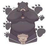  1:1 2016 anthro balls belly black_bear black_fur blush eyes_closed flaccid fur hi_res humanoid_hands humanoid_penis male mammal moobs moon_bear navel overweight overweight_male penis quanjiang solo ursid ursine 