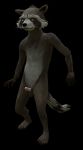  3d_(artwork) anthro digital_media_(artwork) disney front_view fur guardians_of_the_galaxy hi_res male mammal marvel nude penis procyonid raccoon rocket_raccoon rockyrcoon solo 