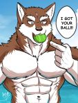  2019 abs anthro arvie ball biceps canid canine canis digital_media_(artwork) domestic_dog fur male mammal muscular muscular_male pecs solo tennis_ball 