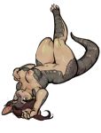  anthro armadillo breasts female hair hi_res kardie looking_at_viewer mammal nipples nude solo thick_thighs upside_down wide_hips xenarthran 
