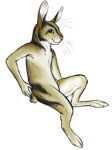  2019 annamite_striped_rabbit anthro doggoprodigy lagomorph leporid male mammal rabbit solo streifi 