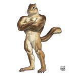  2019 abs anthro biceps black_eyes brown_fur crossed_arms featureless_crotch fur male mammal motion_lines muscular muscular_male pecs quads rodent sciurid signature standing taku tan_fur 