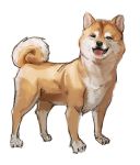  3_toes ambiguous_gender bow_(artist) canid canine canis domestic_dog ear_tuft feral fur mammal red_tongue shiba_inu simple_background spitz tan_fur toes tongue tongue_out tuft white_background white_fur 