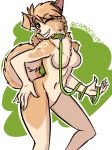 2019 absurd_res anthro breasts canid canine canis capaoculta_(artist) clothed clothing collar digital_media_(artwork) domestic_dog featureless_breasts female fluffy fluffy_tail hi_res looking_at_viewer mammal neck_tuft nude pomeranian rika_(character) simple_background smile solo spitz standing topless tuft 