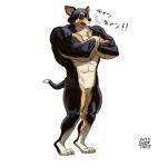  2019 3_toes abs anthro biceps black_fur canid canine canis crossed_arms digitigrade domestic_dog featureless_crotch fur japanese_text male mammal multicolored_fur muscular muscular_male pecs pink_tongue quads simple_background taku tan_fur text toes tongue tongue_out white_background 