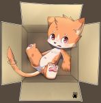  anthro blush cardboard_box cub cubboard domestic_cat evil_kima felid feline felis fur high-angle_view looking_at_viewer lying male mammal navel nude on_back open_mouth pawpads red_eyes solo spreading young 