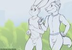  2019 anthro balls bottomless canid canine canis casual_nudity clothed clothing duo grass hi_res jogging lagomorph male mammal outside penis rabbit shiuk sky wolf 