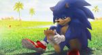  2019 balls clothing fangs feet flower footwear grass green_eyes hi_res male outside palm_tree plant shoes sitting solo sonic_(series) sonic_movie sonic_the_hedgehog sunflower tree zen 