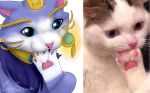  &lt;3 blue_eyes chest_tuft comparison curesnow domestic_cat felid feline felis fur hi_res mammal meme pawpads pink_pawpads purple_fur snout tuft white_fur yuumi_(lol) 