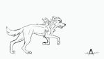  animator617 canid canine canis coyote mammal 