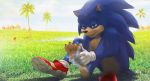  2019 balls clothing electricity eulipotyphlan fangs feet flower footwear fur grass green_eyes hedgehog hi_res male mammal outside palm_tree plant shoes sitting solo sonic_(series) sonic_movie sonic_the_hedgehog sunflower tree zen 