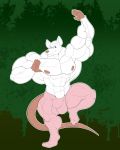  2018 5_fingers abs anthro ballet biceps biped blue_eyes bottomwear buckteeth bulge claws clothed clothing digital_media_(artwork) front_view fur green_background hi_res huge_muscles long_tail male mammal mikhail_ziegler murid murine muscular muscular_male nipples on_one_leg pecs pink_bottomwear pink_claws pink_clothing pink_nipples pink_nose pink_tail rat rodent simple_background solo standing teeth topless unknownwolf white_fur 
