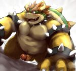  2014 all_fours balls belly biped blush bowser bracelet censored collar digital_media_(artwork) digital_painting_(artwork) edit erection foreshortening front_view glans hachirouta hair hatching_(technique) humanoid_penis ineffective_censorship jewelry kemono koopa low-angle_view male mario_bros musclegut muscular muscular_male nintendo open_mouth open_smile overweight overweight_male penis precum scalie short_hair small_penis smile snout solo spiked_armlet spiked_bracelet spiked_collar spikes uncensored video_games 