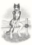  2019 5_fingers anisis barefoot breasts canid canine canis detailed_background digital_media_(artwork) digitigrade domestic_dog female hi_res mammal nipples nude solo 