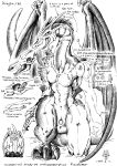  1999 abs anatomy anthro balls bone dragon english_text karabiner male monochrome muscular muscular_male nude pecs penis scales skeleton solo text 