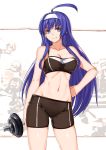  1girl ahoge bike_shorts blue_eyes blue_hair breasts cleavage collarbone commentary commission contrapposto dumbbell english_commentary esg_(essagna) eyebrows_visible_through_hair groin gym hand_on_hip highres huge_ahoge long_hair looking_at_viewer medium_breasts midriff navel orie_(under_night_in-birth) smile solo sports_bra standing taut_clothes toned under_night_in-birth 