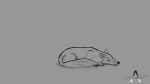  16:9 animator617 canid canine dark drawing fox hi_res mammal sleeping 