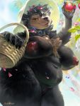  anthro apple basket belly big_breasts breasts chest_tuft female flower food fruit inverted_nipples levelviolet mammal neck_tuft nipples plant pussy slightly_chubby solo thick_thighs tuft ursid voluptuous wide_hips 