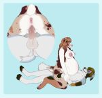  2019 4_toes 5_fingers anthro anthro_on_anthro anthro_penetrated anthro_penetrating anus balls barefoot belly big_belly biped blue_background border breasts brown_claws brown_eyes brown_fur brown_hair brown_nose brown_tail butt canid canine canis claws cowgirl_position cutaway digital_media_(artwork) domestic_dog duo erection eye_contact eyewear female female_penetrated fingerless_(marking) floppy_ears fur glasses grey_fur hair hi_res homogenousrule long_hair looking_at_another lying male male/female male_penetrating mammal multicolored_fur multicolored_tail nipples nude on_back on_top penetration penis pink_anus pink_nipples pink_nose pink_penis pregnant pregnant_sex pussy sex short_hair simple_background smile tan_fur tan_tail toe_claws toeless_(marking) toes vaginal vaginal_penetration whiskers white_fur white_tail 