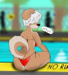  2019 absurd_res anthro bikini bottomwear breasts brown_fur butt canid canine clothed clothing digital_media_(artwork) female female_focus frown fur grass hair hi_res looking_at_viewer mammal multicolored_fur outside pool_(disambiguation) public radiation. red_bikini sign sitting sky solo_focus swimwear text thick_thighs topwear tree two_tone_fur voluptuous water white_hair wide_hips 