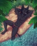  2019 4_toes anthro black_fur black_hair black_nose blue_hair canid canine canis clothed clothing detailed_background eyes_closed fur hair imanika jackal lying male mammal navel on_back partially_submerged smile solo toes topless water 