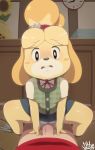  2019 animal_crossing anthro biped black_eyes black_nose blush blush_stickers bottomwear canid canine canis clothed clothed_sex clothing detailed_background domestic_dog duo erection female female_focus female_penetrating fur hi_res human human_on_anthro interspecies isabelle_(animal_crossing) light_skin looking_at_viewer male male/female male_penetrating mammal nervous nintendo pale_skin penetration penis sex shih_tzu signature skirt sweat sweatdrop tan_skin toy_dog vein veiny_penis video_games white_fur white_pupils wildblur yellow_fur 