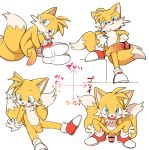  anthro balls big_penis canid canine fox humanoid_penis japanese_text male mammal manmosu_marimo miles_prower penis sonic_(series) text translation_request uncut 