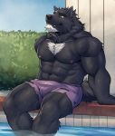  2019 adios anthro biceps canid canine canis clothing digital_media_(artwork) fur hi_res male mammal muscular muscular_male nipples pecs swimwear were werecanid werecanine werewolf wolf 