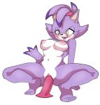  anthro blaze_the_cat breasts dildo felid feline female hi_res mammal masturbation nipples nude pussy saltwatertoffee sex_toy sonic_(series) vaginal 