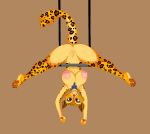  anthro anus areola big_breasts breasts brown_eyes circus cocaine-leopard dangling dreamworks felid female fur gia_the_jaguar happy hi_res jaguar jewelry madagascar_(series) mammal necklace nipples nude pantherine pussy smile solo spots spotted_fur spread_legs spreading trapeze upside_down 