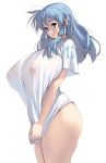 1girl blue_hair breasts huge_breasts masao original see-through 