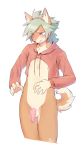  anthro canid canine canis clothing domestic_dog flaccid foreskin hi_res humanoid_penis male mammal navel nipples oloxbangxolo penis solo standing sweater topwear uncut 