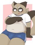  2019 absurd_res anthro belly blush bottomwear brown_fur bulge canid canine clothed clothing cute_fangs ekubo fur hi_res humanoid_hands male mammal moobs navel nipples open_shirt raccoon_dog shorts sitting solo tanuki 