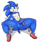  anthro balls blush disembodied_hand erection eulipotyphlan handjob hedgehog hi_res humanoid_penis male mammal open_mouth penile penis sex solo_focus sonic_(series) sonic_the_hedgehog spread_legs spreading thick_thighs wizzikt 