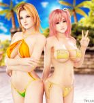 2girls 3d beach blonde_hair breasts dead_or_alive dead_or_alive_5 highres honoka_(doa) large_breasts multiple_girls pink_hair tina_armstrong 