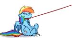  2019 absurd_res angry cutie_mark equid equine feathered_wings feathers feral friendship_is_magic hi_res leash mammal my_little_pony pterippus rainbow_dash_(mlp) simple_background solo white_background wings witchtaunter 