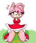  &lt;3 2008 amy_rose anthro clothed clothing female green_eyes hair kneeling mammal omorashi open_mouth peeing perverted_bunny pussy simple_background solo sonic_(series) urine watersports 