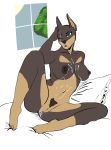  2019 anthro barefoot big_breasts breasts butt canid canine canis cum cum_in_pussy cum_inside digital_media_(artwork) dobermann domestic_dog female fur hair hi_res mammal nipples nude ownychan pinscher pussy simple_background solo solo_focus thick_thighs 