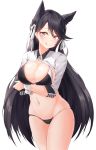  1girl absurdres alternate_costume animal_ear_fluff animal_ears arms_under_breasts atago_(azur_lane) azur_lane bikini black_bikini blush breasts brown_eyes brown_hair cleavage closed_mouth cowboy_shot gr_greeze groin hair_ribbon hand_on_own_chest highres large_breasts long_hair long_sleeves looking_at_viewer mole mole_under_eye navel race_queen ribbon shrug_(clothing) sidelocks simple_background skindentation smile solo stomach swimsuit white_background 