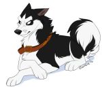  2016 black_fur black_nose canid canine canis citrinelle collar digital_media_(artwork) domestic_dog feral fur husky male mammal nordic_sled_dog paws simple_background solo spitz white_background white_fur 