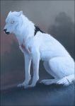  2019 ambiguous_gender black_nose blood canid canine canis detailed_background digital_media_(artwork) feral fur grass mammal oneminutesketch paws sitting solo white_eyes white_fur wolf 