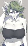  anthro bandeau bare_shoulders big_breasts black_clothing braided_hair breasts canid canine cleavage clothed clothing eyebrow_through_hair eyebrows female fur green_hair grey_background grey_fur hair half-length_portrait kemono looking_at_viewer mammal midriff multicolored_fur navel nipple_outline ponytail portrait purple_eyes raised_arm saigi sgsix simple_background solo translucent translucent_hair two_tone_fur white_fur 