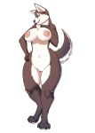  2018 4_toes anthro areola big_breasts black_nose blue_eyes breasts canid canine canis claws domestic_dog eyebrows female fur grey_fur grey_tail hand_on_hip hi_res husky looking_at_viewer mammal navel nipples nordic_sled_dog nude pink_areola pink_nipples pussy schwoo simple_background smile spitz standing toe_claws toes white_belly white_breasts white_eyebrows white_fur white_tail wide_hips 